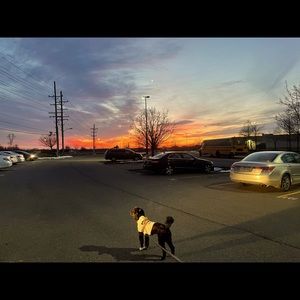 Meet your Posher, Zander